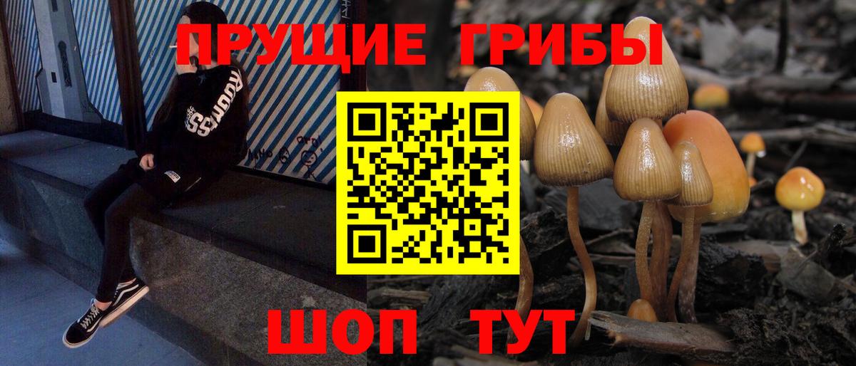 Псилоцибиновые грибы прущие грибы Ржев